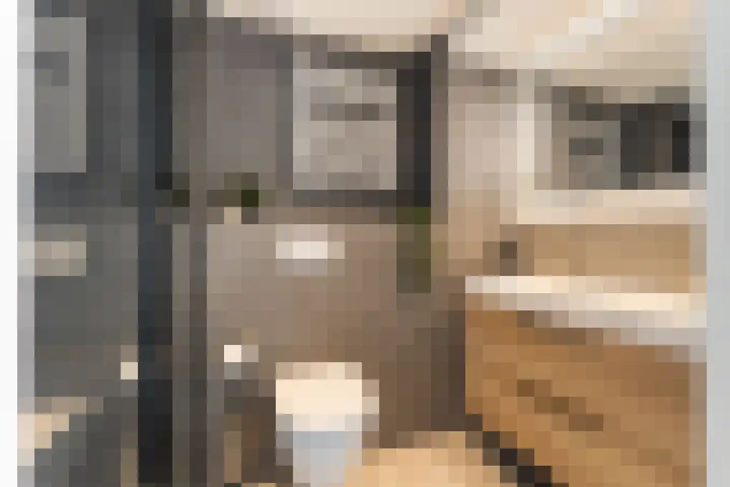 Duindoorn 22 Krimpen aan den IJssel thumbnail 4
