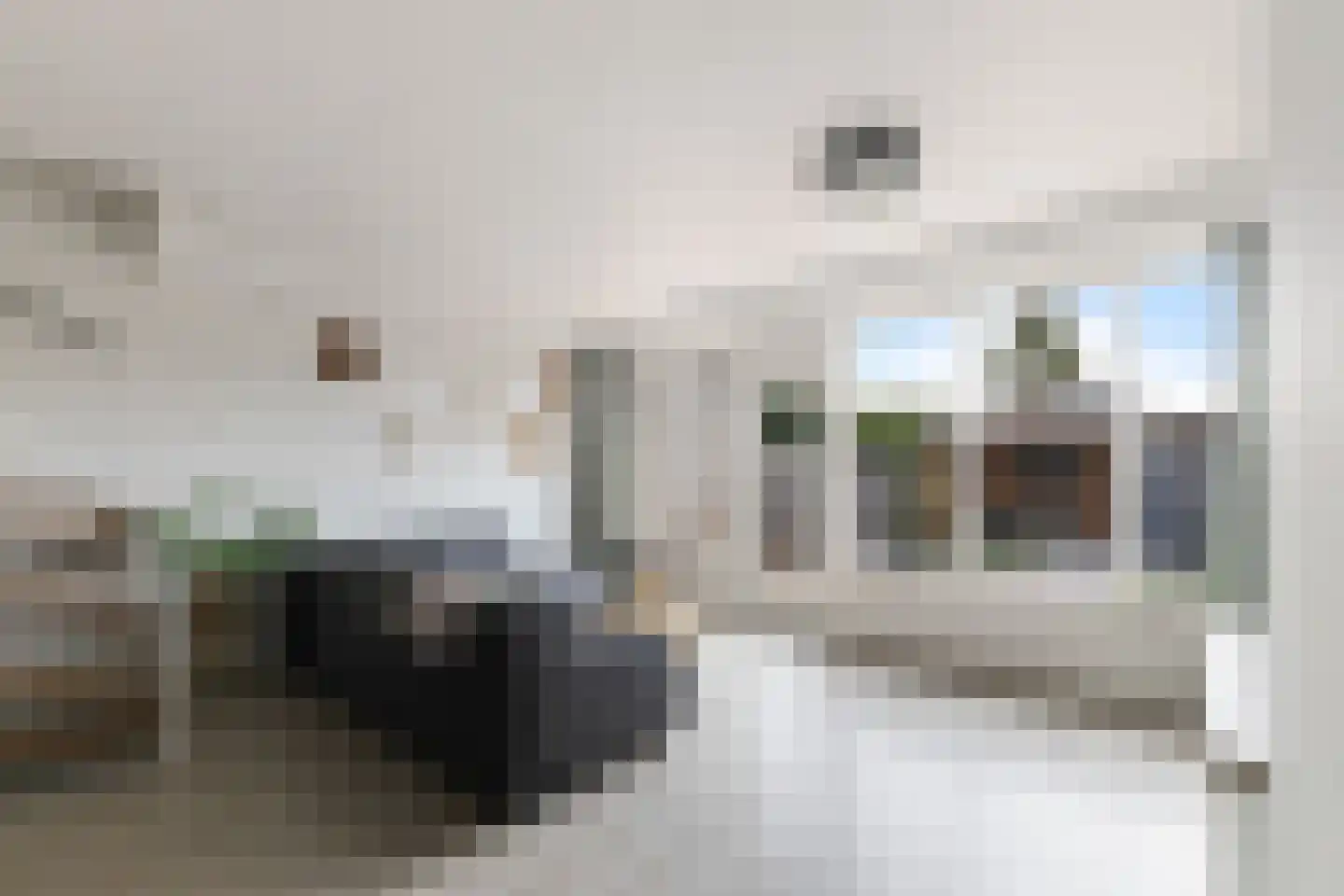 Duindoorn 22 Krimpen aan den IJssel thumbnail 5