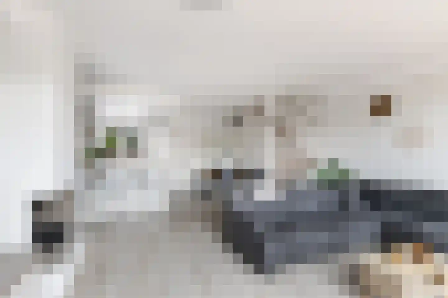 Duindoorn 22 Krimpen aan den IJssel thumbnail 7