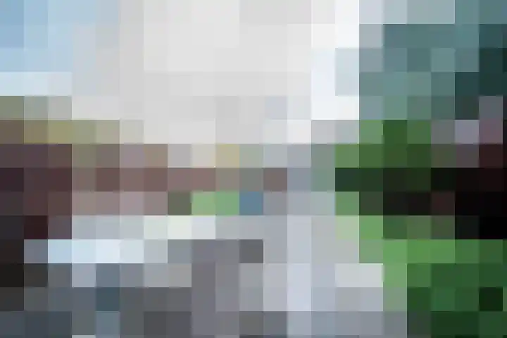 Duindoorn 25 Rotterdam thumbnail 18