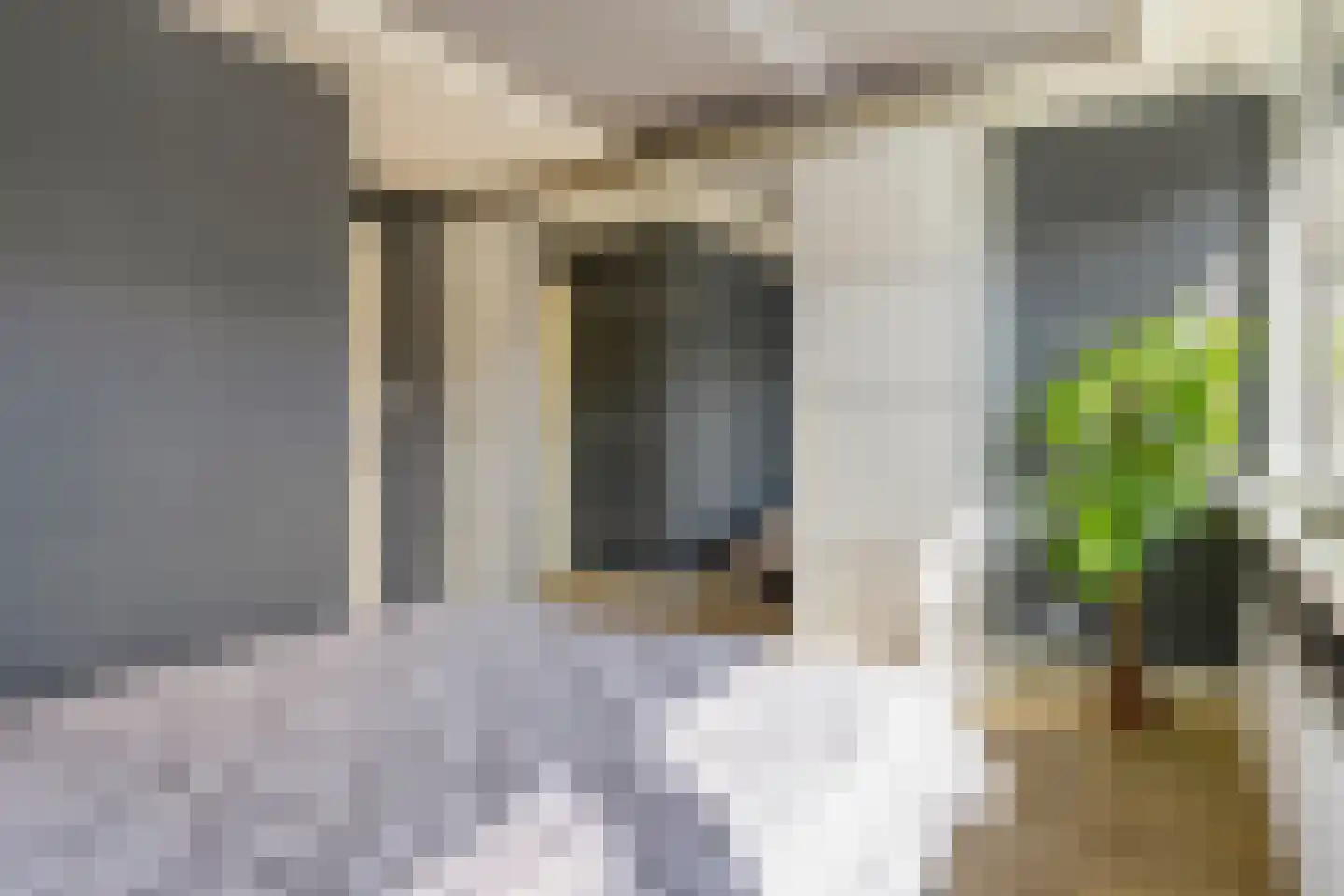 Duindoorn 25 Rotterdam thumbnail 27