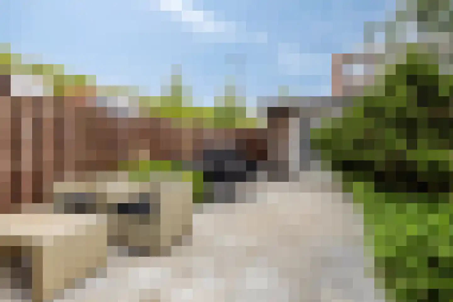 Duindoorn 25 Rotterdam thumbnail 35