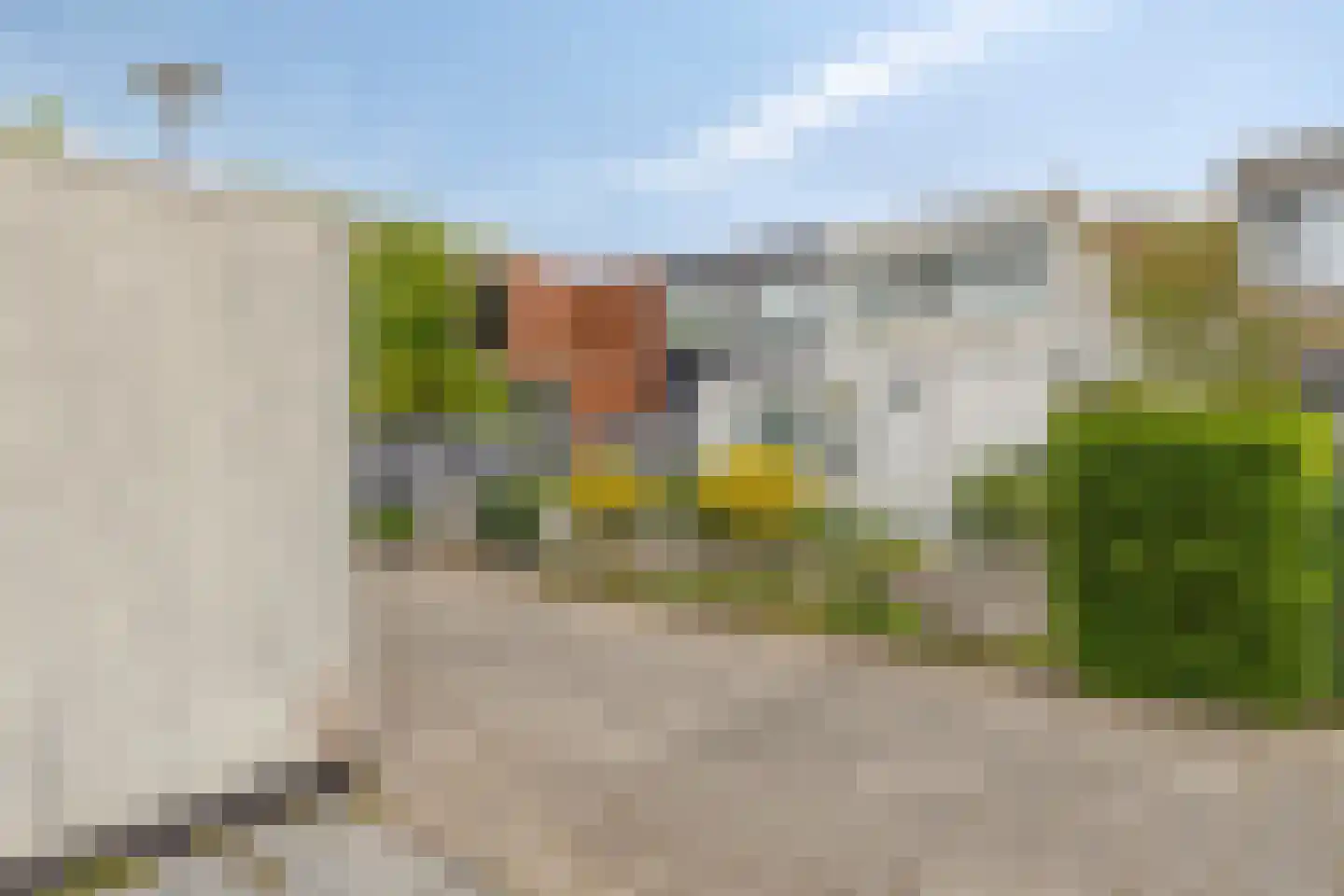 Duindoorn 25 Rotterdam thumbnail 5