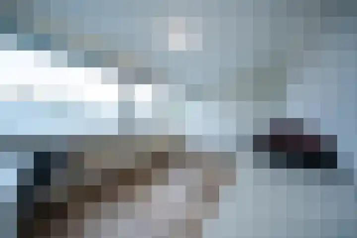 Duindoorn 25 Rotterdam thumbnail 6