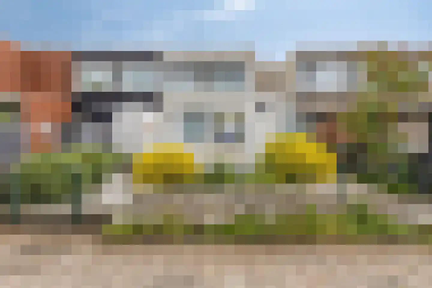 Duindoorn 25 Rotterdam thumbnail 6