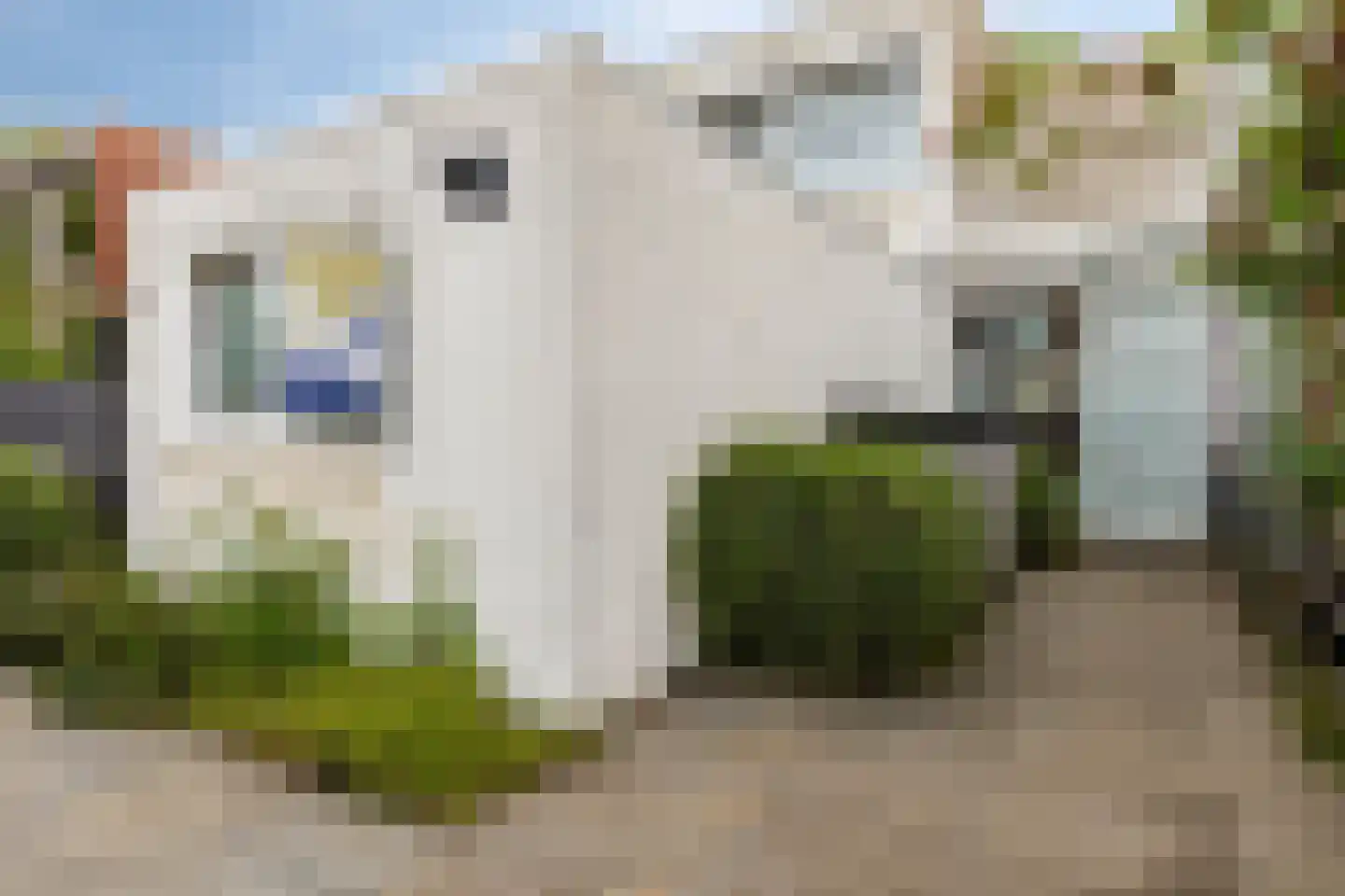 Duindoorn 25 Rotterdam thumbnail 7