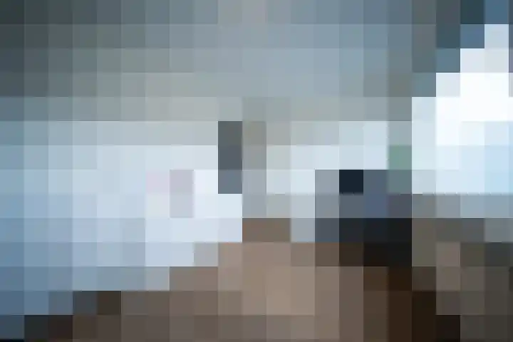 Duindoorn 25 Rotterdam thumbnail 7