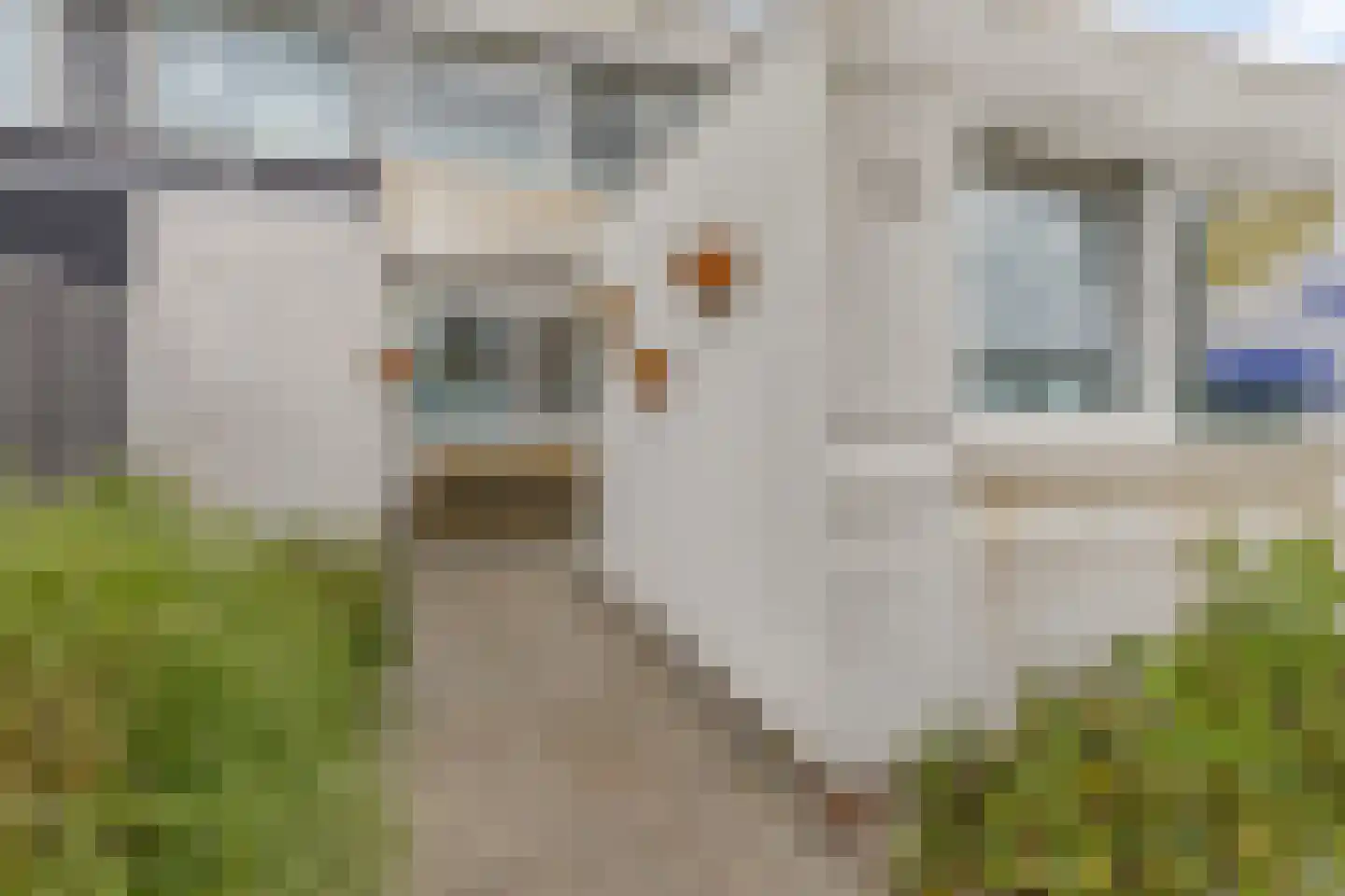 Duindoorn 25 Rotterdam thumbnail 8