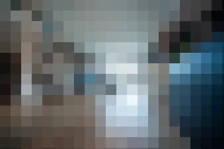 Duindoorn 25 Rotterdam thumbnail 9