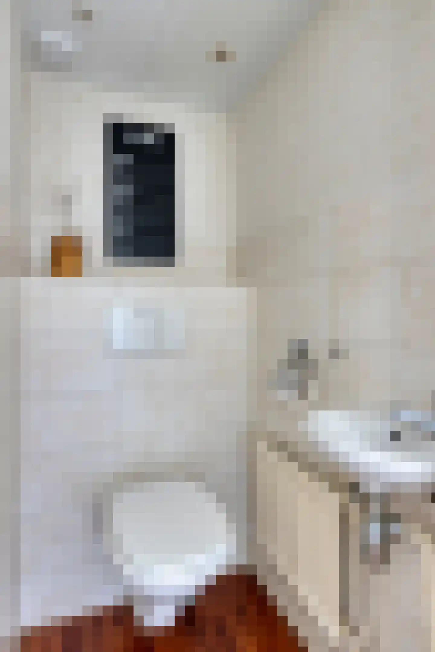 Duindoorn 3 Krimpen aan den IJssel thumbnail 10