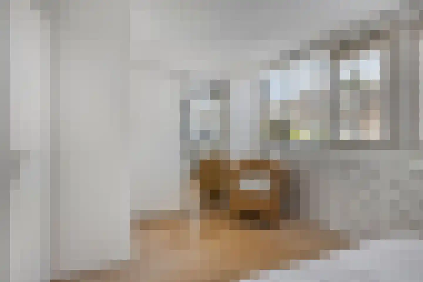 Duindoorn 3 Krimpen aan den IJssel thumbnail 14