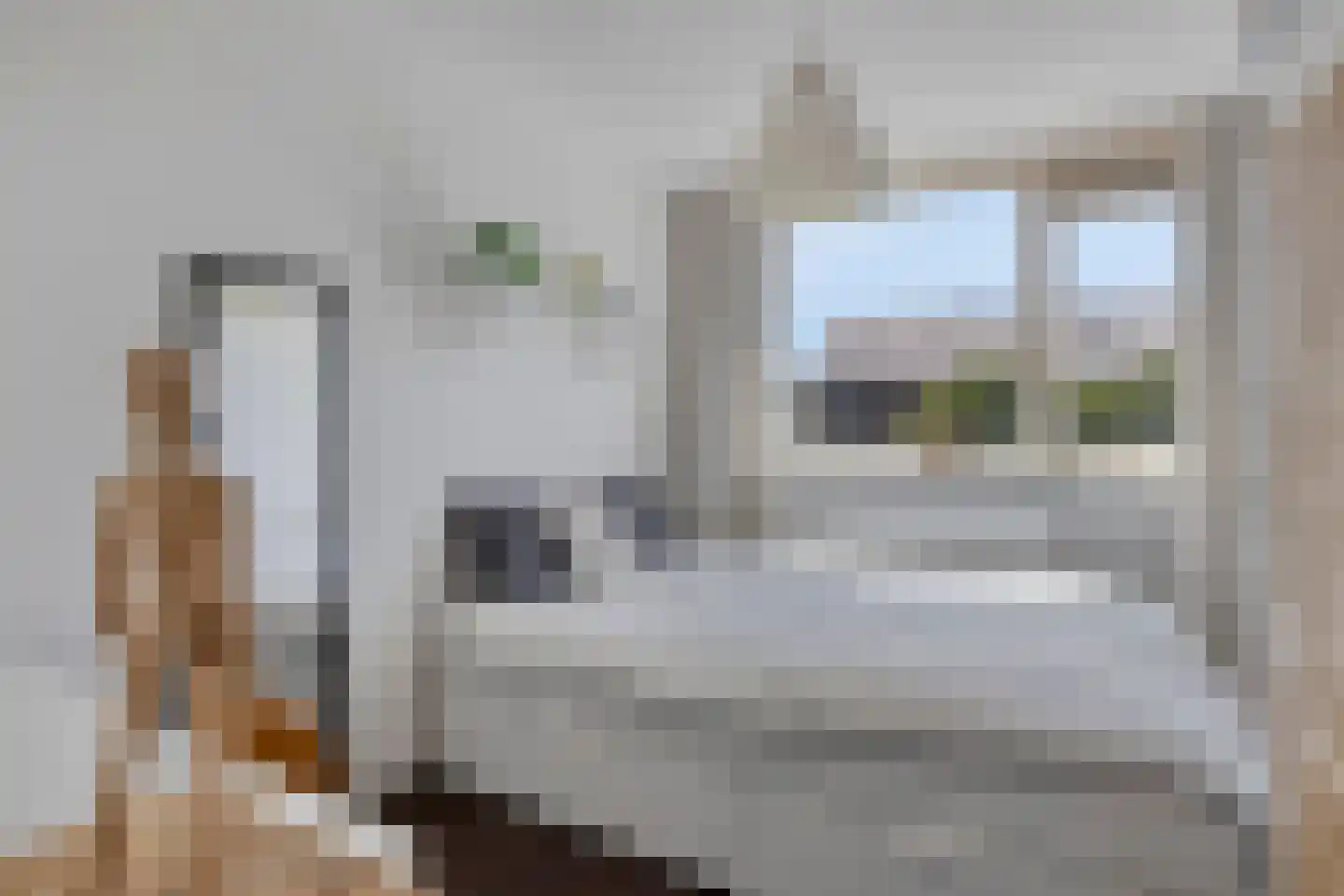 Duindoorn 3 Krimpen aan den IJssel thumbnail 15