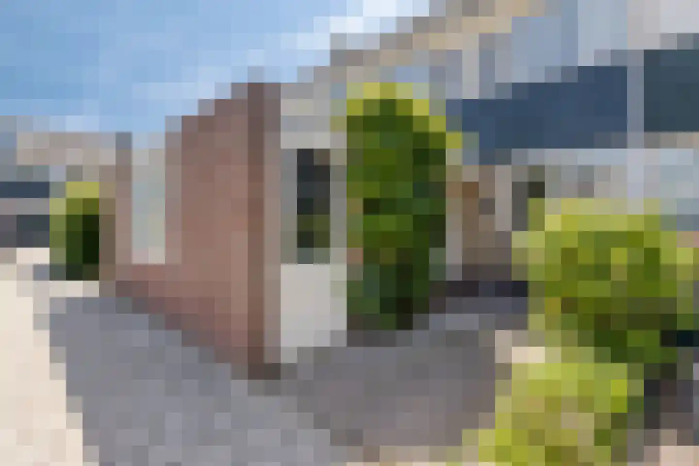 Duindoorn 3 Krimpen aan den IJssel thumbnail 24