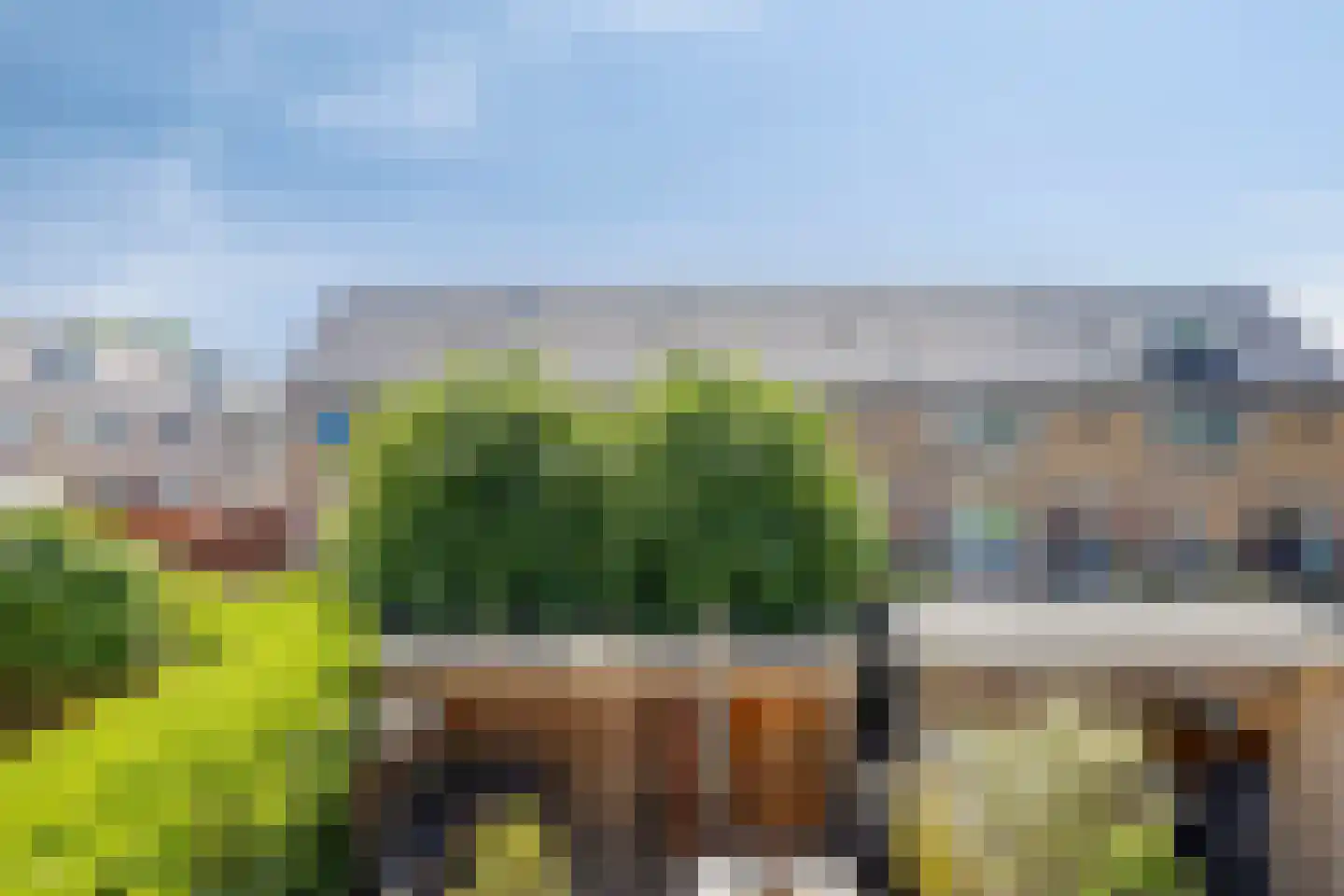 Duindoorn 3 Krimpen aan den IJssel thumbnail 25