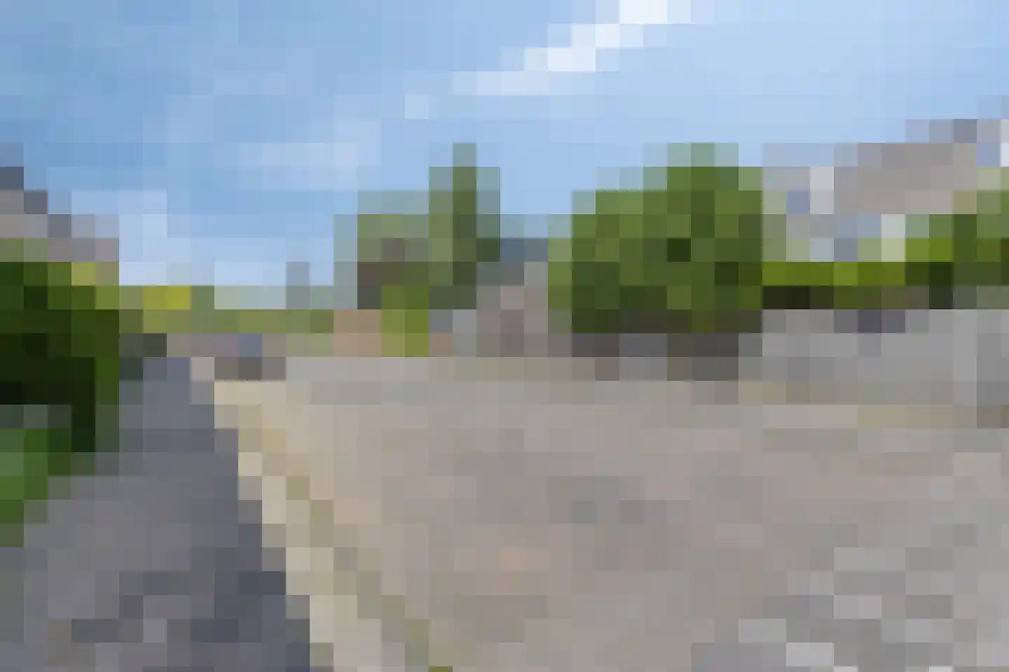 Duindoorn 3 Krimpen aan den IJssel thumbnail 26