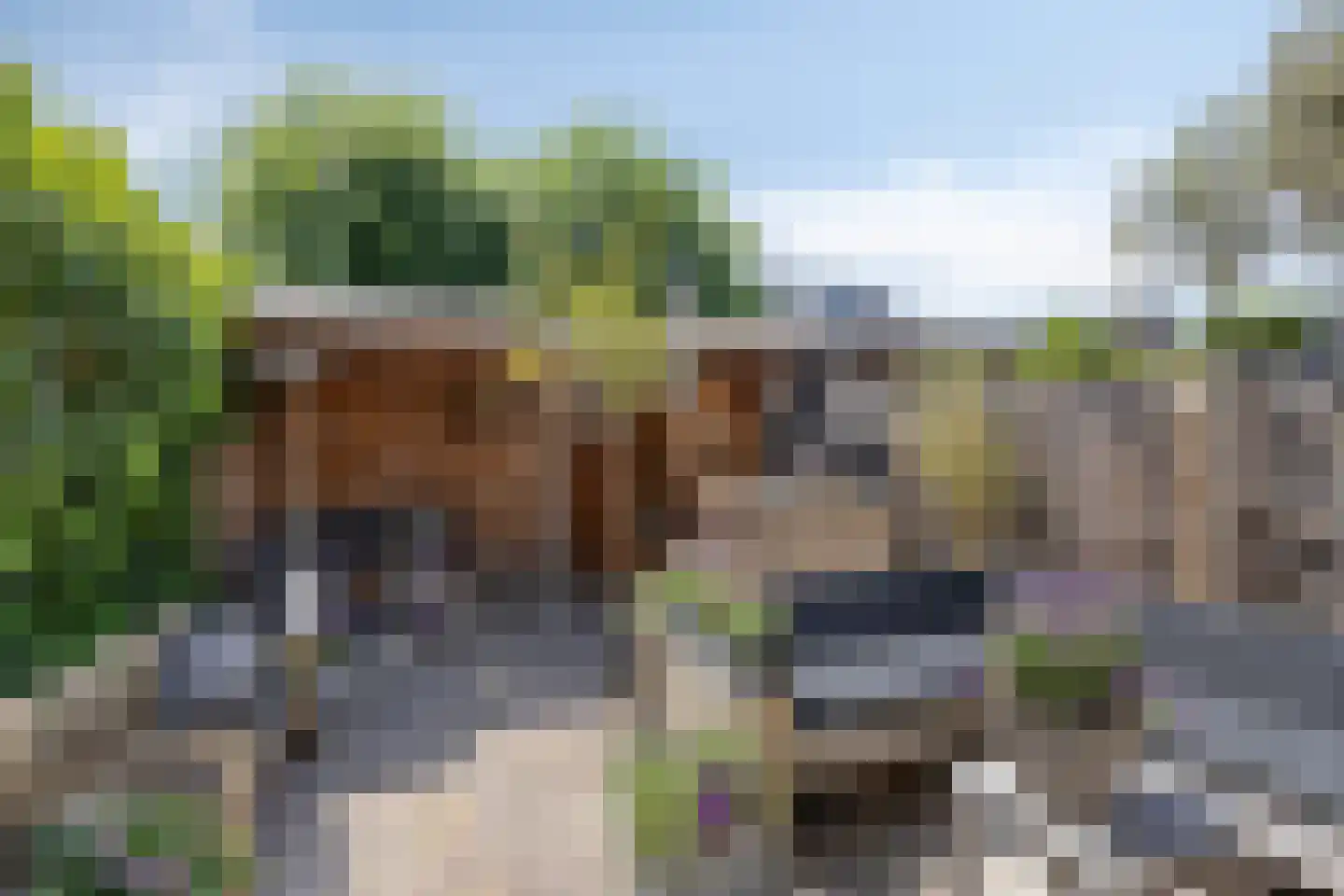 Duindoorn 3 Krimpen aan den IJssel foto 3