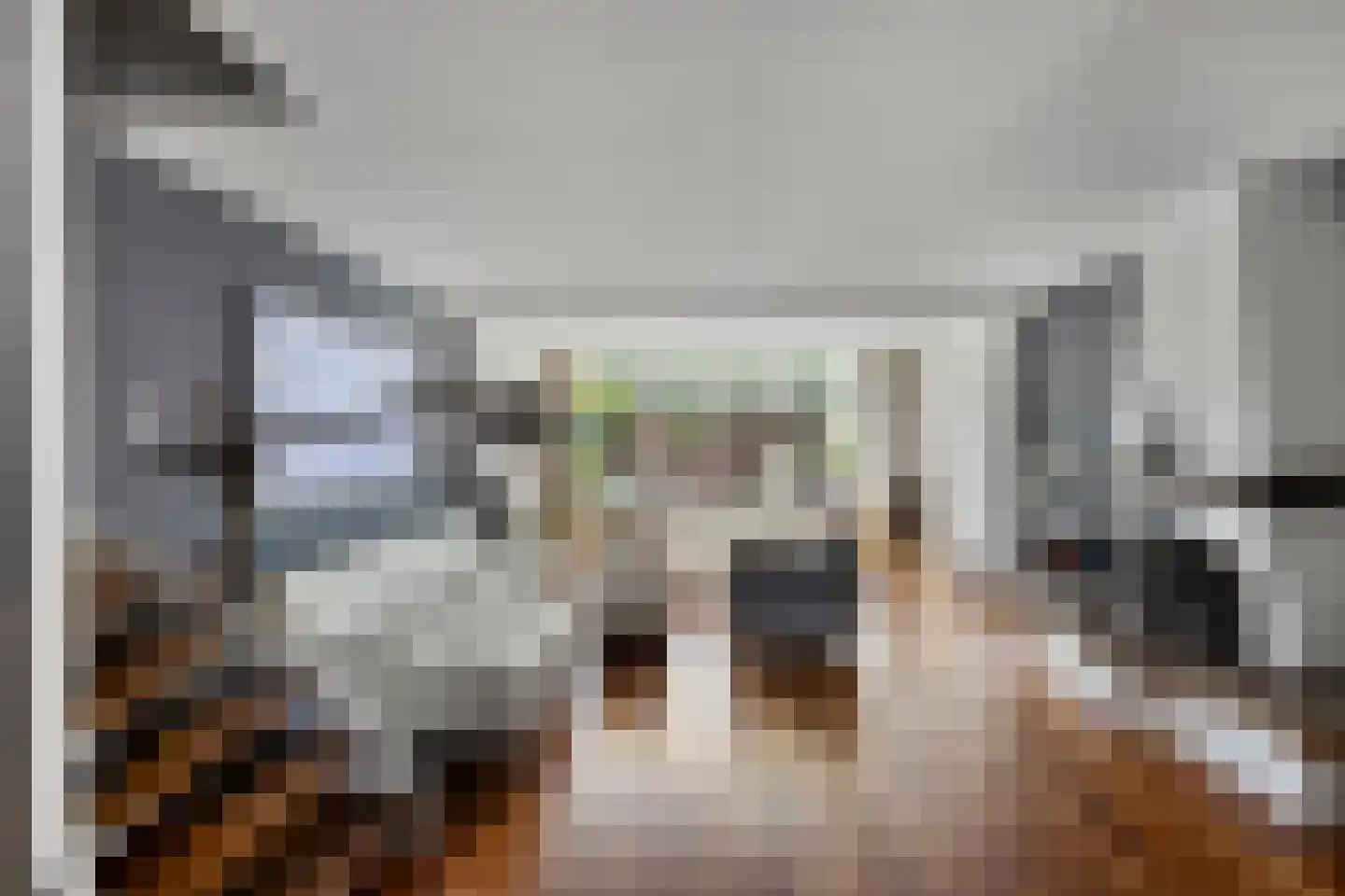 Duindoorn 3 Krimpen aan den IJssel thumbnail 4