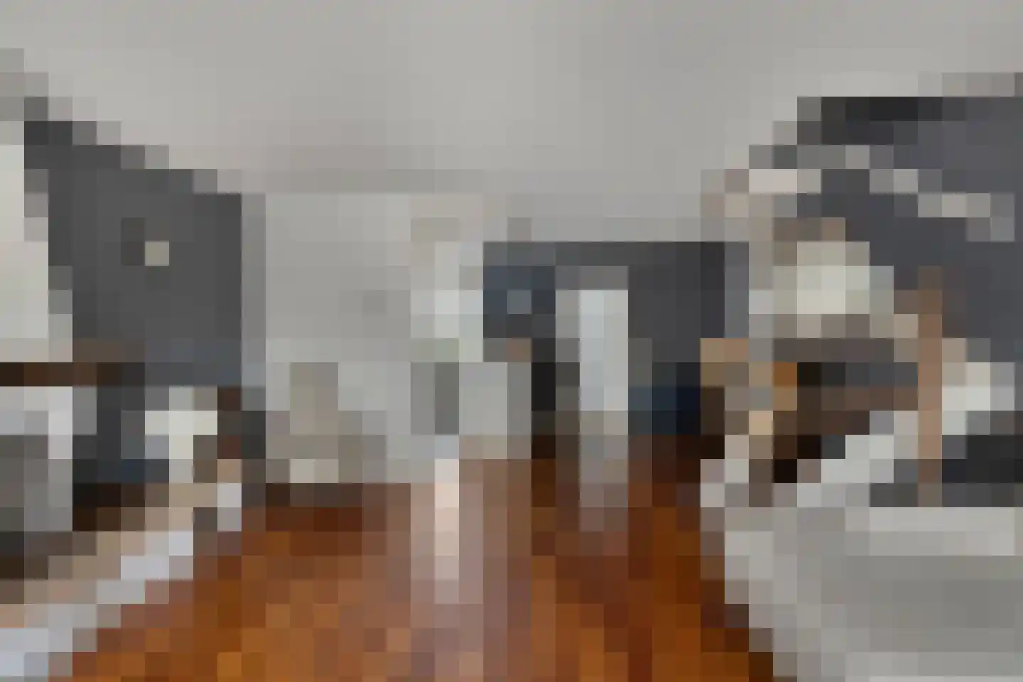 Duindoorn 3 Krimpen aan den IJssel thumbnail 5
