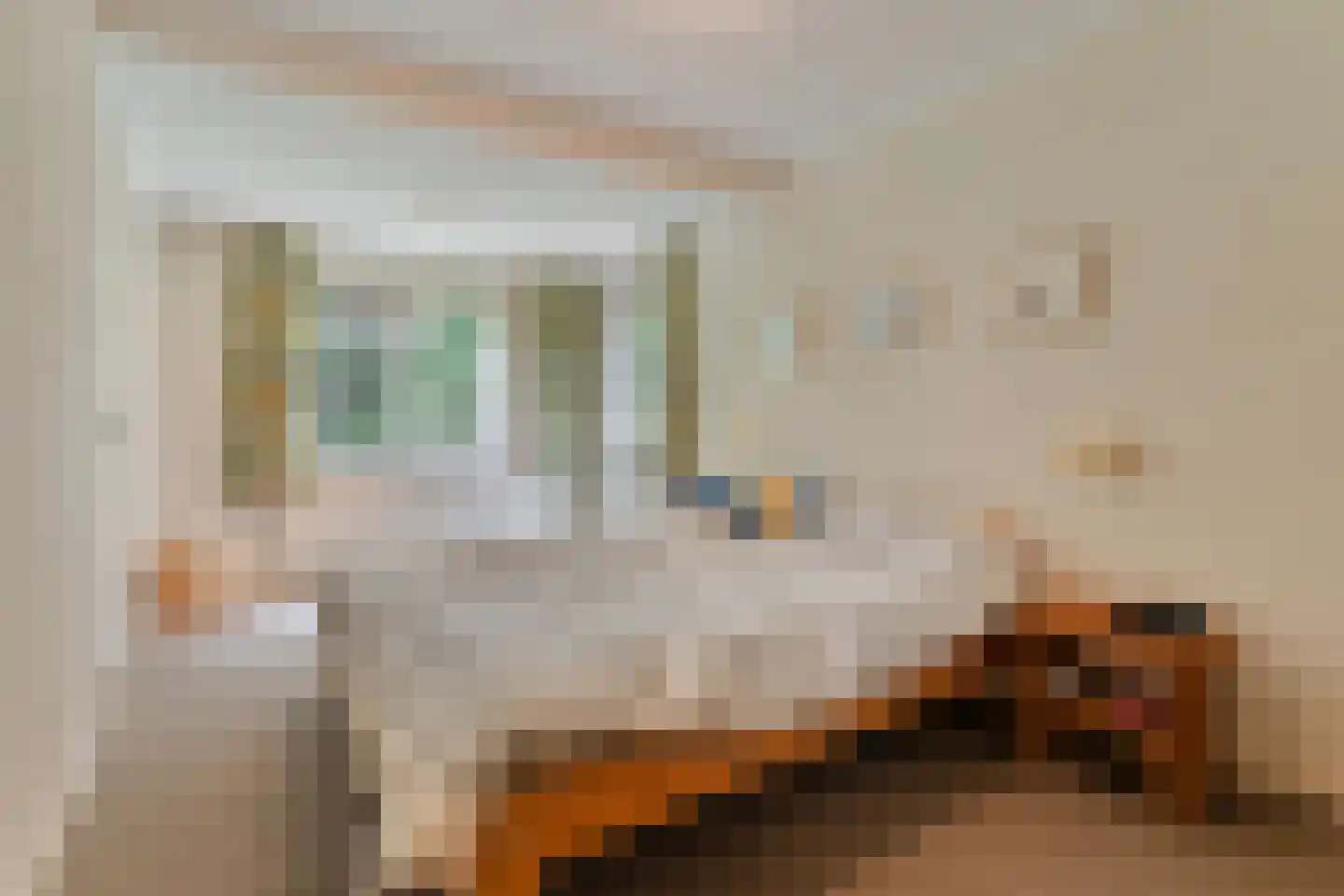 Duindoorn 38 Emmen thumbnail 18