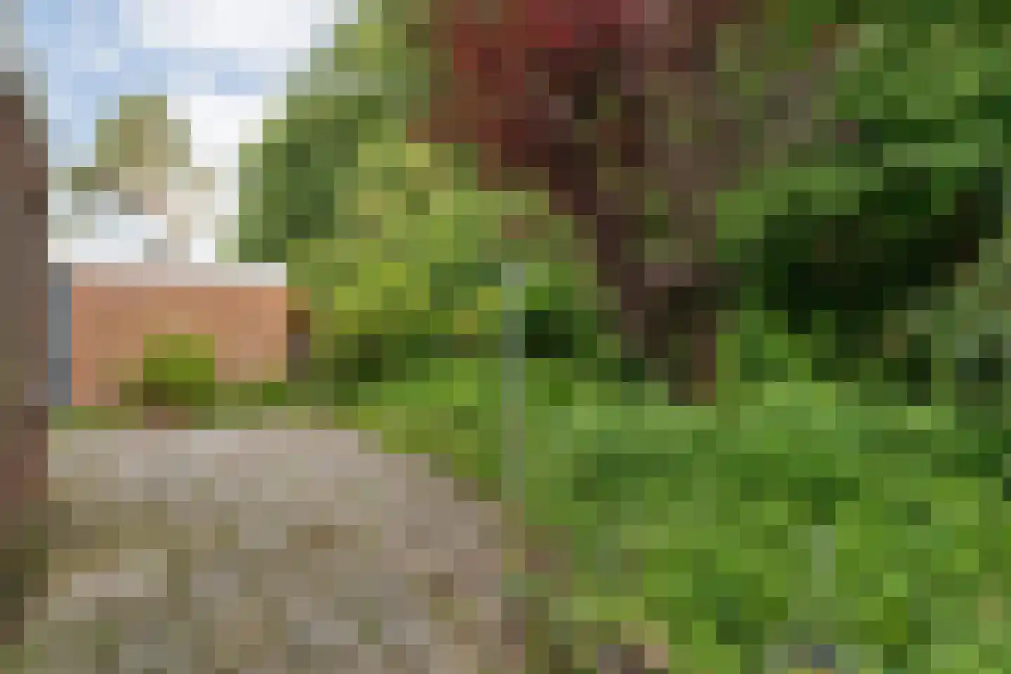 Duindoorn 38 Emmen thumbnail 32