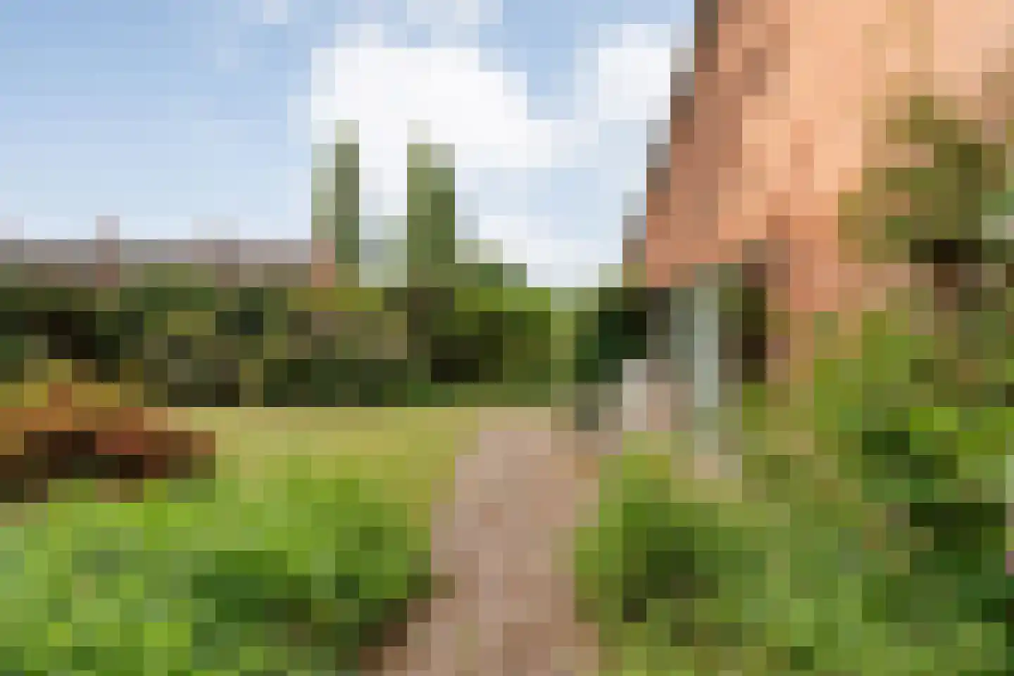 Duindoorn 38 Emmen thumbnail 33