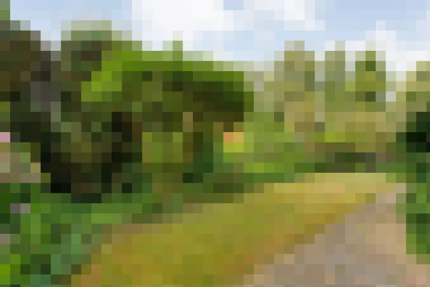 Duindoorn 38 Emmen thumbnail 35