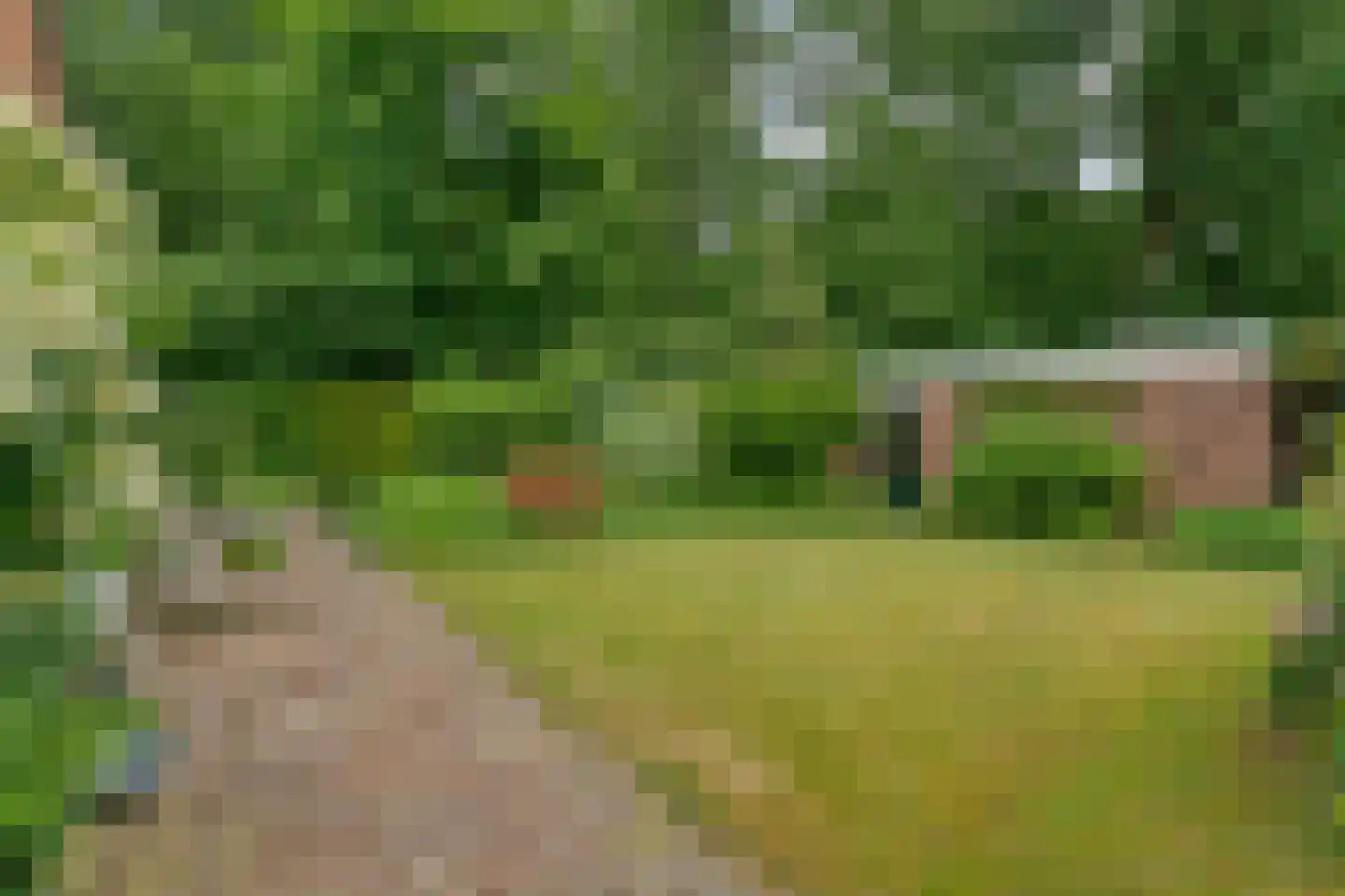 Duindoorn 38 Emmen thumbnail 36