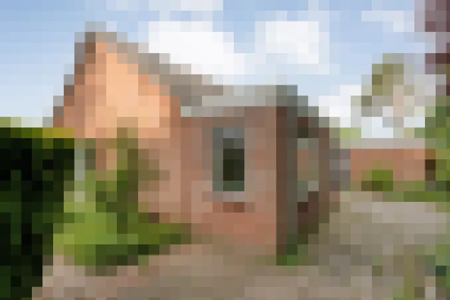 Duindoorn 38 Emmen thumbnail 37