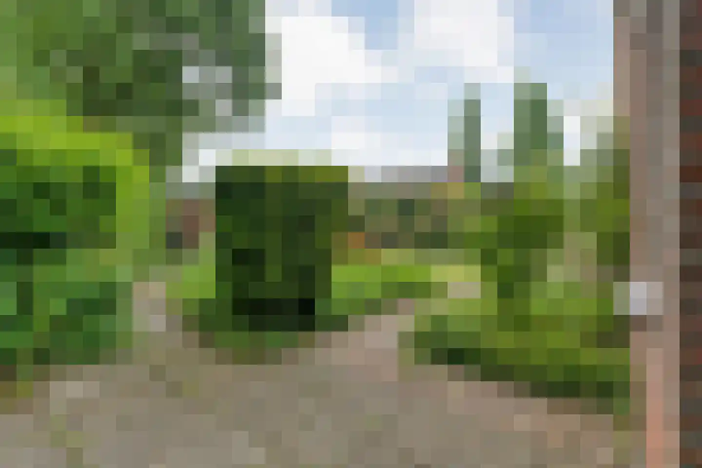 Duindoorn 38 Emmen thumbnail 41