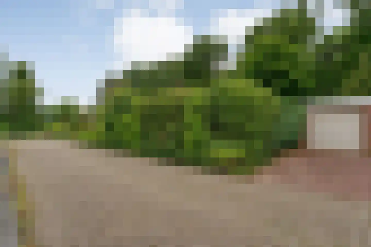 Duindoorn 38 Emmen thumbnail 43