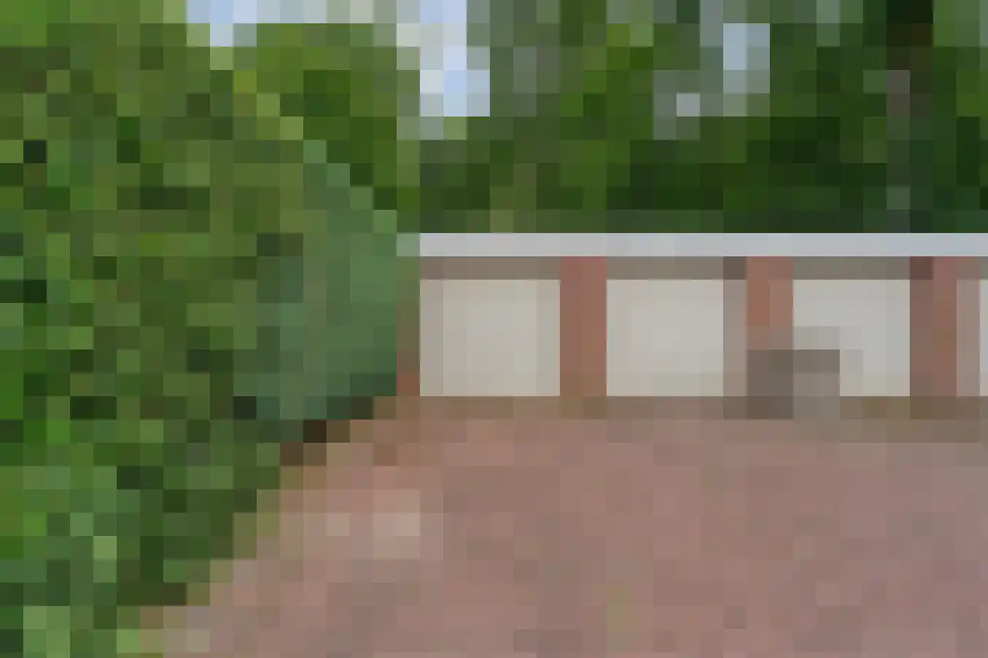 Duindoorn 38 Emmen thumbnail 44