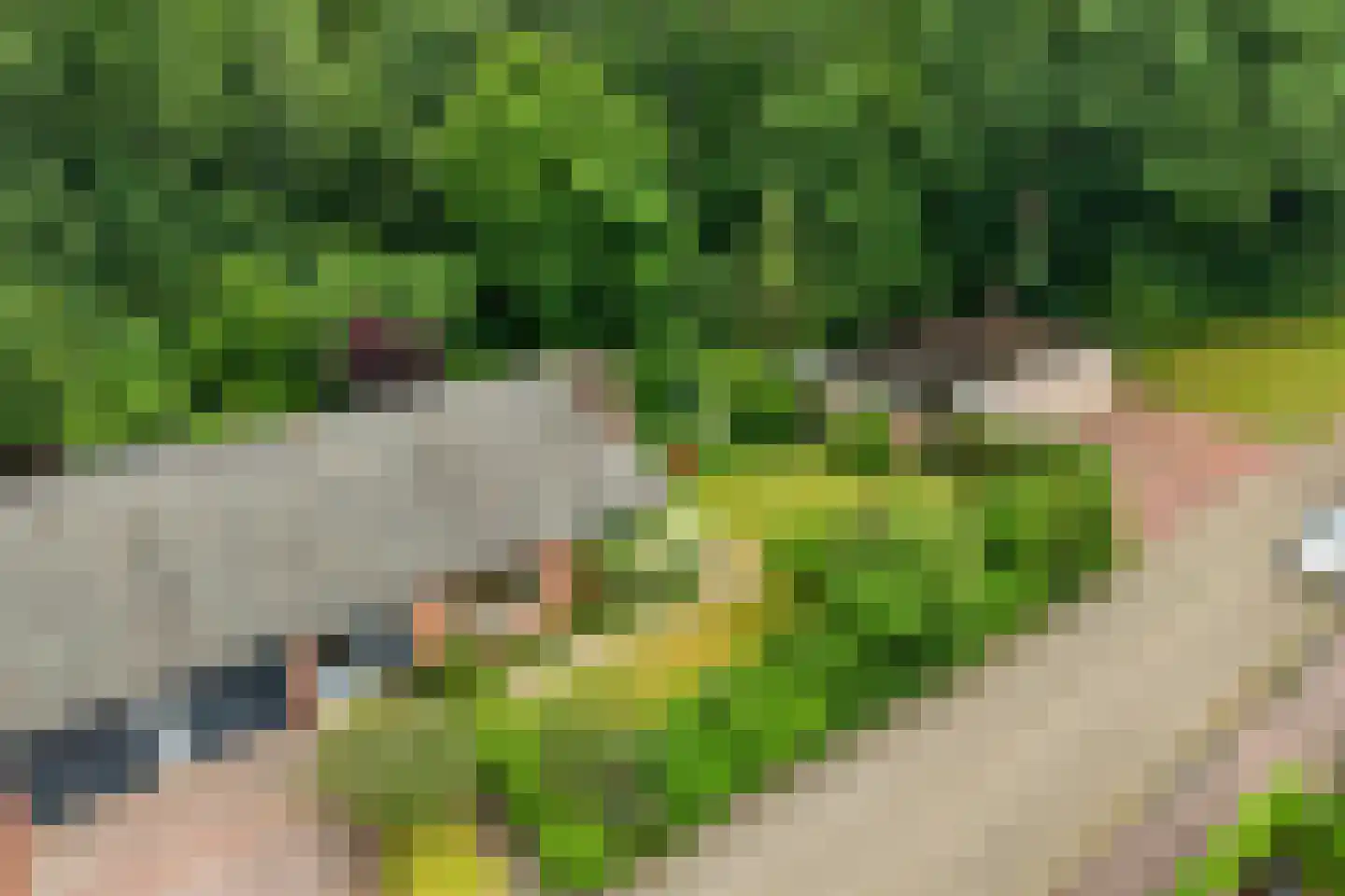 Duindoorn 38 Emmen thumbnail 6