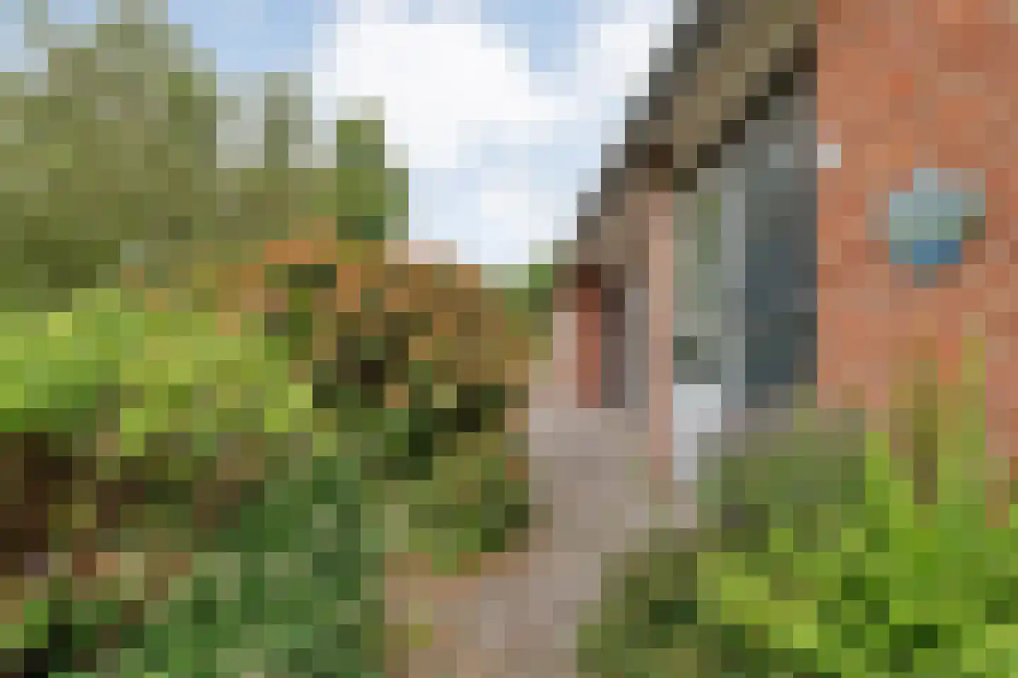 Duindoorn 38 Emmen thumbnail 7