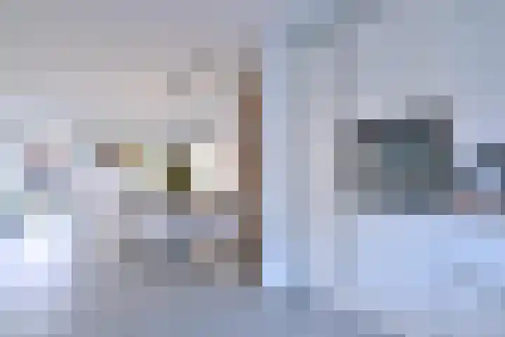Duindoorn 44 Deventer thumbnail 10
