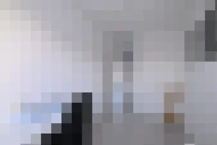 Duindoorn 44 Deventer thumbnail 19