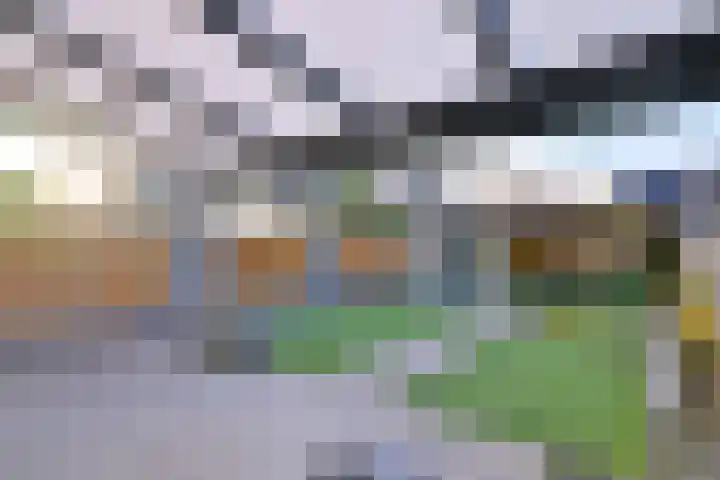 Duindoorn 44 Deventer thumbnail 32
