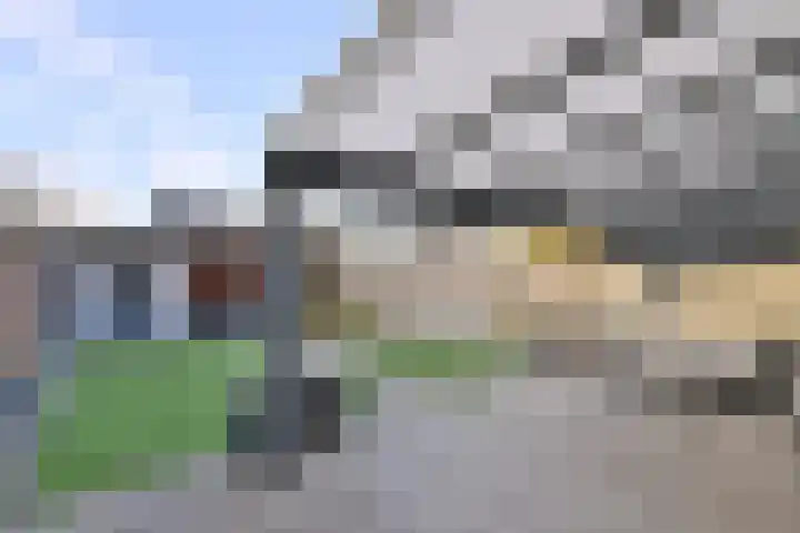 Duindoorn 44 Deventer thumbnail 33
