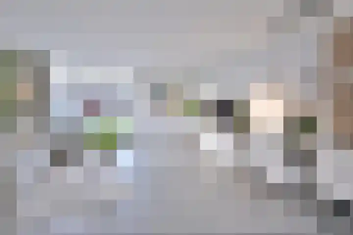 Duindoorn 44 Deventer thumbnail 4