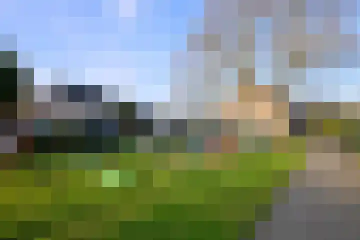 Duindoorn 44 Deventer thumbnail 41