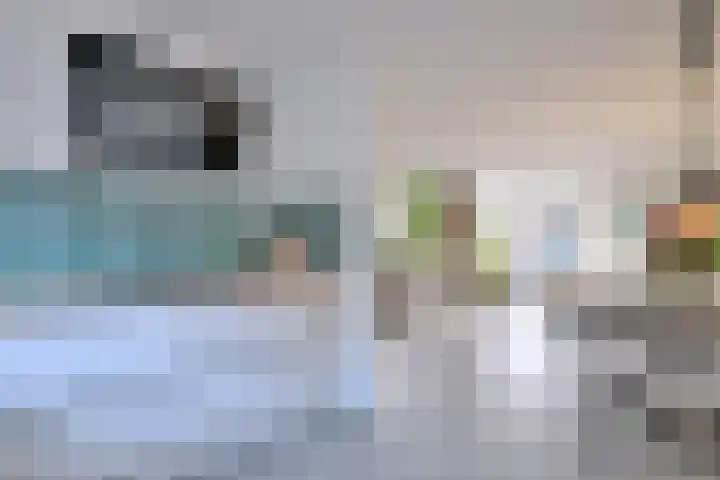 Duindoorn 44 Deventer thumbnail 9