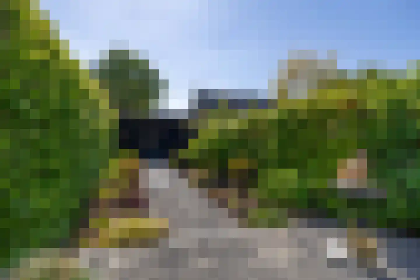 Duindoorn 51 Krimpen aan den IJssel thumbnail 20