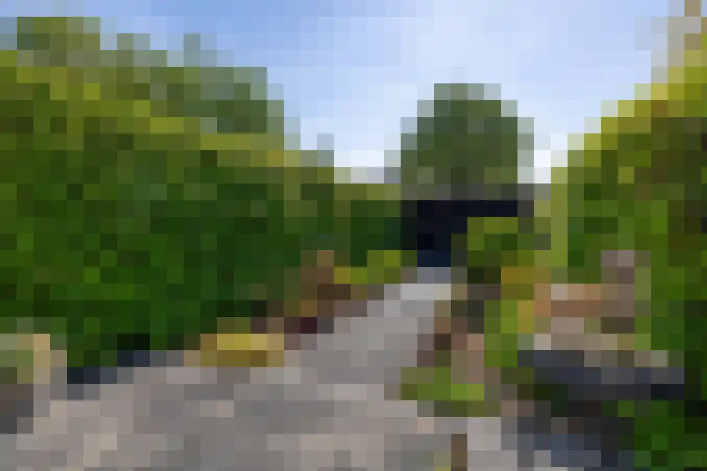 Duindoorn 51 Krimpen aan den IJssel thumbnail 21