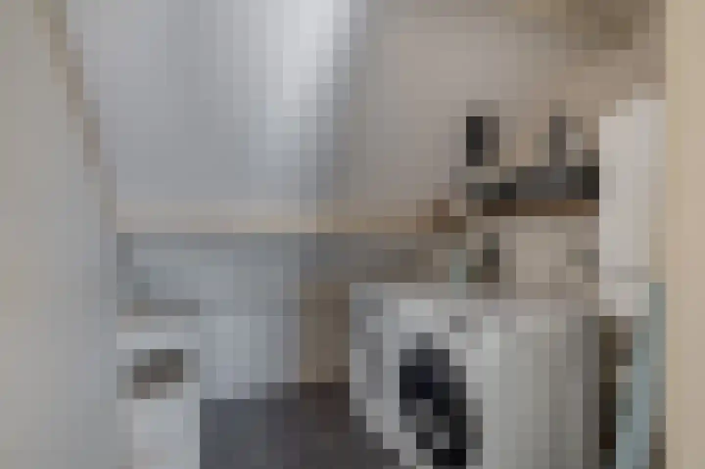 Duindoorn 51 Krimpen aan den IJssel thumbnail 37
