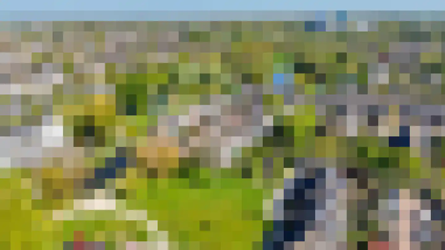 Duindoorn 51 Krimpen aan den IJssel thumbnail 51