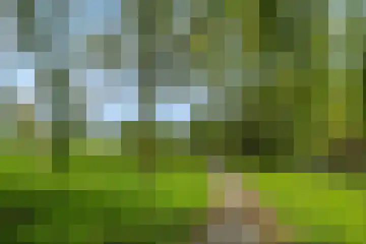 Duindoornbeek 10 Helmond thumbnail 54