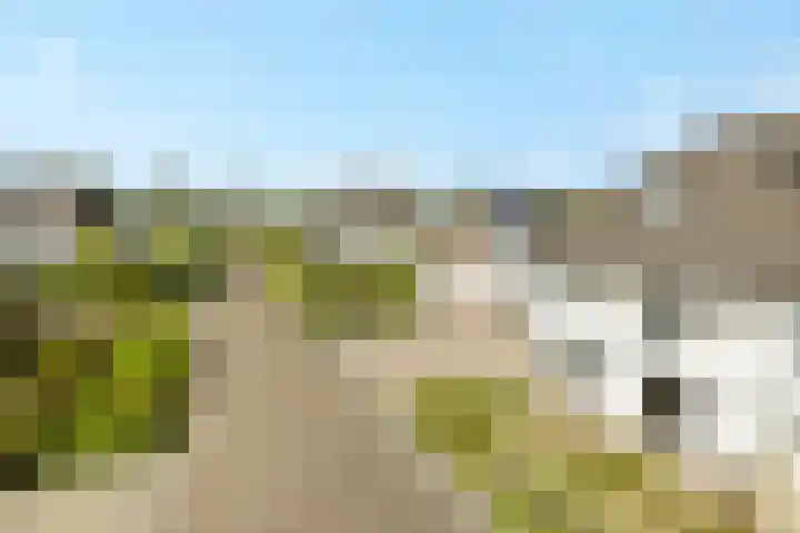 Duindoornbeek 10 Helmond thumbnail 8