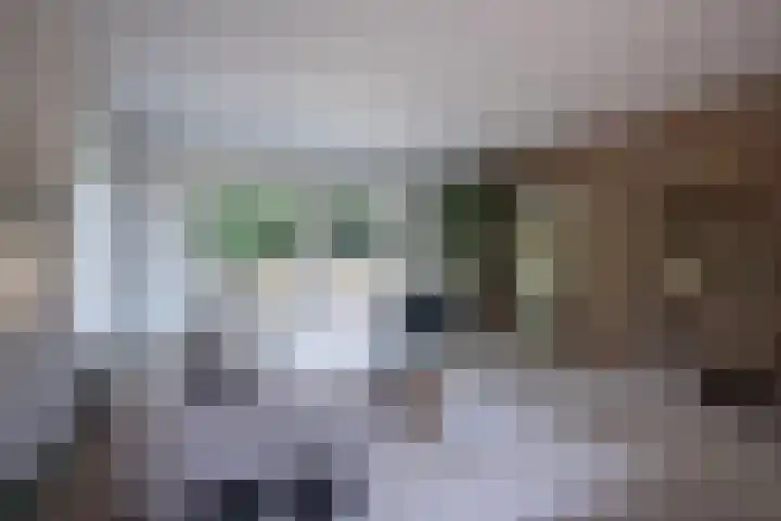 Duindoornlaan 16 Bentveld thumbnail 10