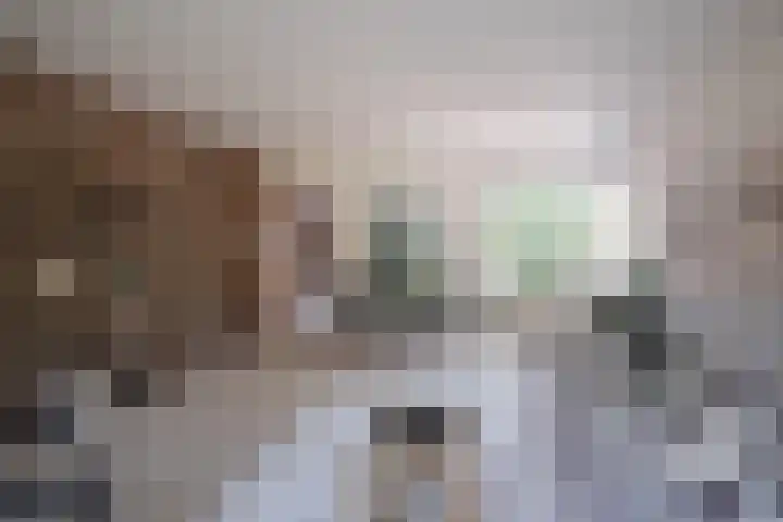 Duindoornlaan 16 Bentveld thumbnail 11