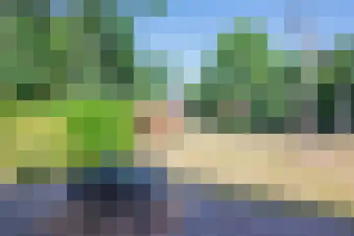Duindoornlaan 16 Bentveld thumbnail 13