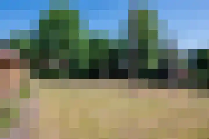 Duindoornlaan 16 Bentveld thumbnail 14